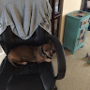 Meet your Posher, Kay